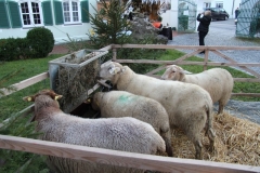 Windacher_Advent_2015_13