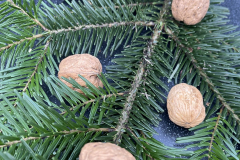 Windacher_Advent_2023_10